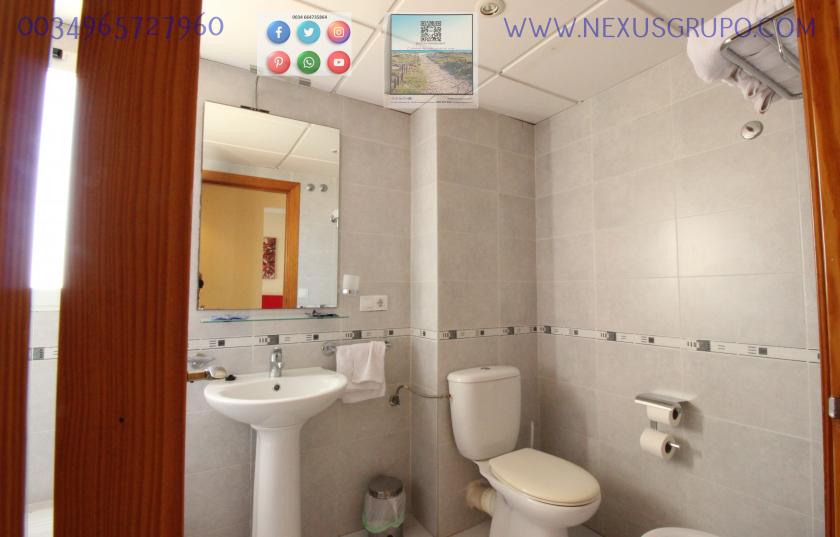 REAL ESTATE, NEXUS GROUP, RENT TOURIST APARTMENT FOR THE WHOLE YEAR in Nexus Grupo