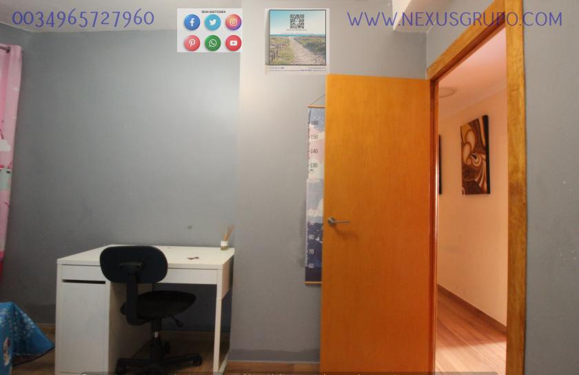 REAL ESTATE, NEXUS GROUP RENT APARTMENT IN THE CENTER OF GUARDAMAR DEL SEGURA in Nexus Grupo