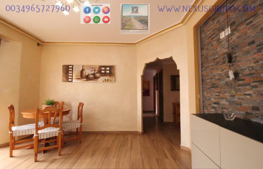 REAL ESTATE, NEXUS GROUP RENT APARTMENT IN THE CENTER OF GUARDAMAR DEL SEGURA in Nexus Grupo