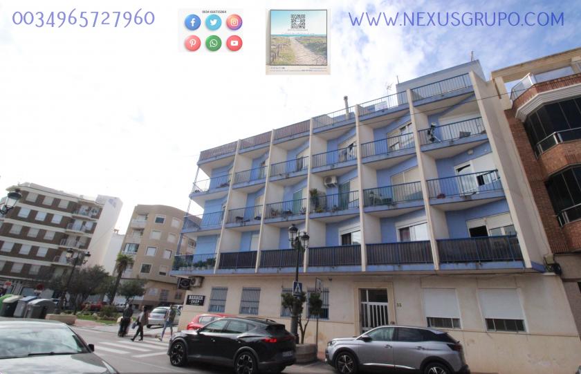 REAL ESTATE, NEXUS GROUP RENT APARTMENT IN THE CENTER OF GUARDAMAR DEL SEGURA in Nexus Grupo