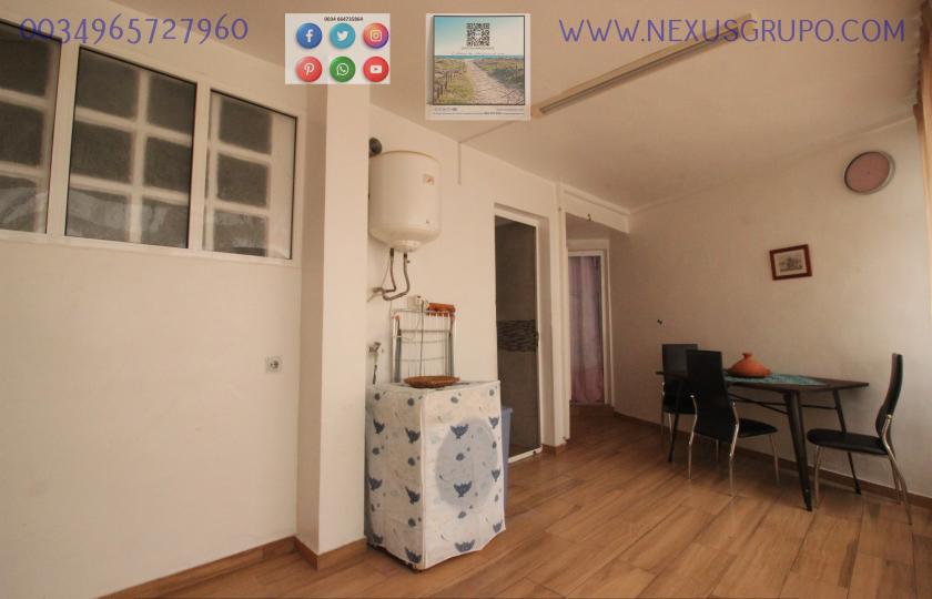 REAL ESTATE, NEXUS GROUP RENT APARTMENT IN THE CENTER OF GUARDAMAR DEL SEGURA in Nexus Grupo