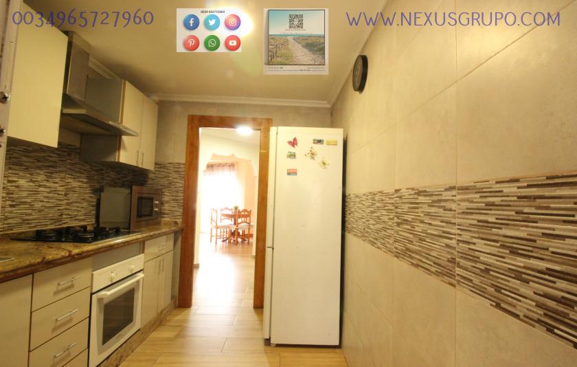 REAL ESTATE, NEXUS GROUP RENT APARTMENT IN THE CENTER OF GUARDAMAR DEL SEGURA in Nexus Grupo