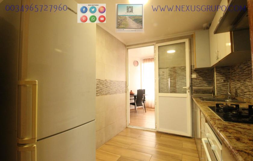 REAL ESTATE, NEXUS GROUP RENT APARTMENT IN THE CENTER OF GUARDAMAR DEL SEGURA in Nexus Grupo