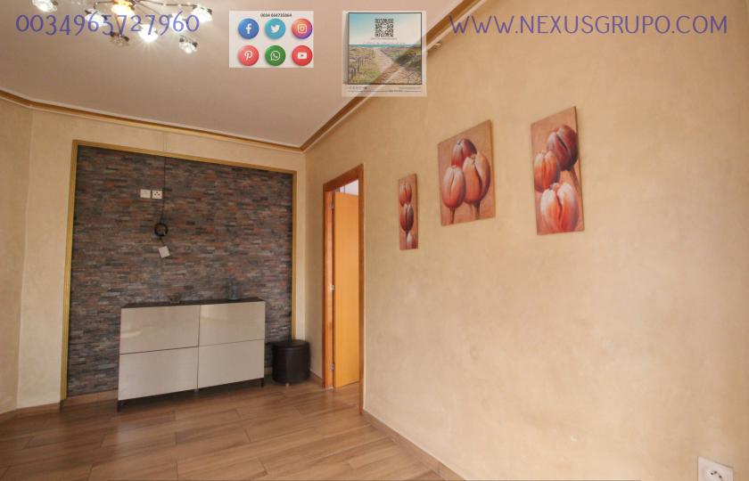 REAL ESTATE, NEXUS GROUP RENT APARTMENT IN THE CENTER OF GUARDAMAR DEL SEGURA in Nexus Grupo