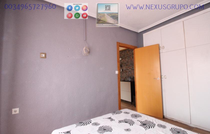 REAL ESTATE, NEXUS GROUP RENT APARTMENT IN THE CENTER OF GUARDAMAR DEL SEGURA in Nexus Grupo