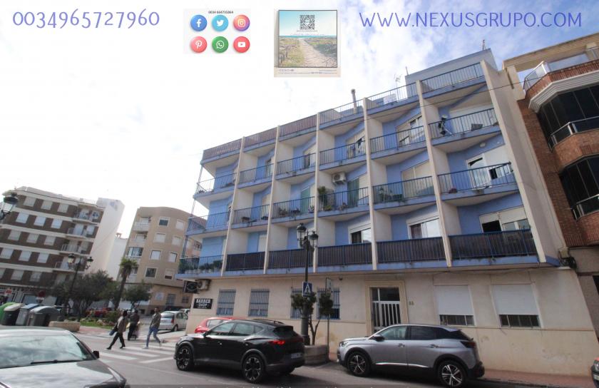 REAL ESTATE, NEXUS GROUP RENT APARTMENT IN THE CENTER OF GUARDAMAR DEL SEGURA in Nexus Grupo