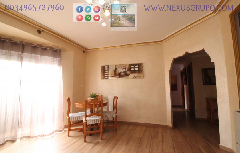 REAL ESTATE, NEXUS GROUP RENT APARTMENT IN THE CENTER OF GUARDAMAR DEL SEGURA in Nexus Grupo