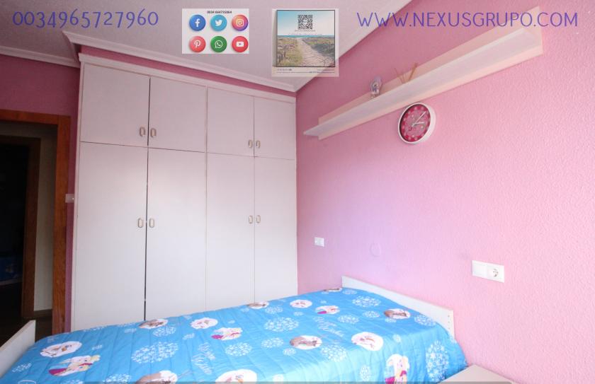 REAL ESTATE, NEXUS GROUP RENT APARTMENT IN THE CENTER OF GUARDAMAR DEL SEGURA in Nexus Grupo