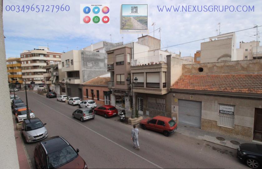 REAL ESTATE, NEXUS GROUP RENT APARTMENT IN THE CENTER OF GUARDAMAR DEL SEGURA in Nexus Grupo