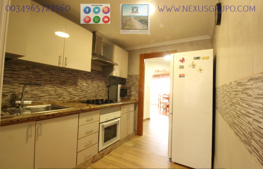 REAL ESTATE, NEXUS GROUP RENT APARTMENT IN THE CENTER OF GUARDAMAR DEL SEGURA in Nexus Grupo